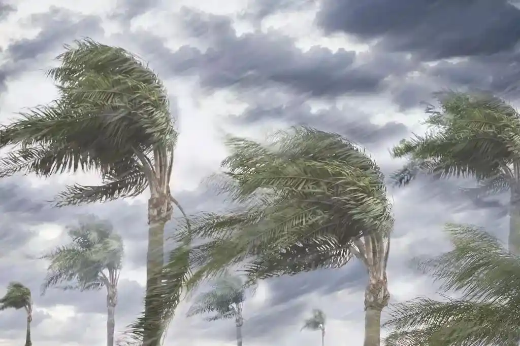Wind sound visualization